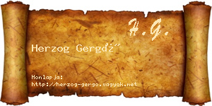 Herzog Gergő névjegykártya